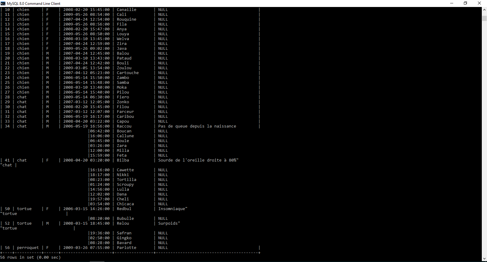 Administrez Vos Bases De Données Avec Mysql